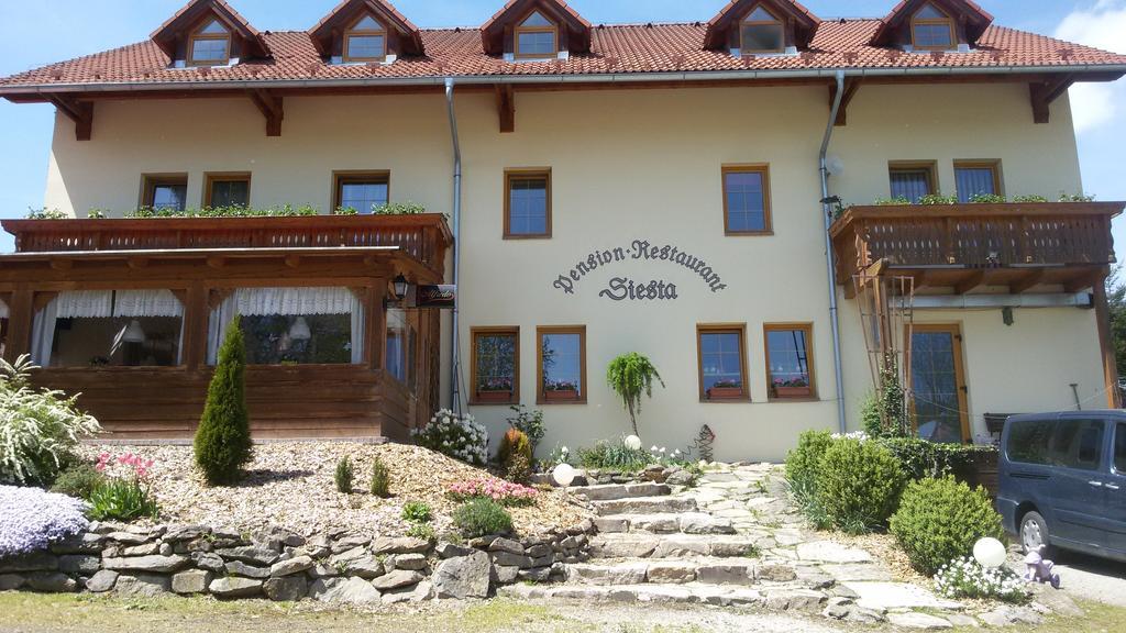 Pension Siesta Želnava Exteriér fotografie