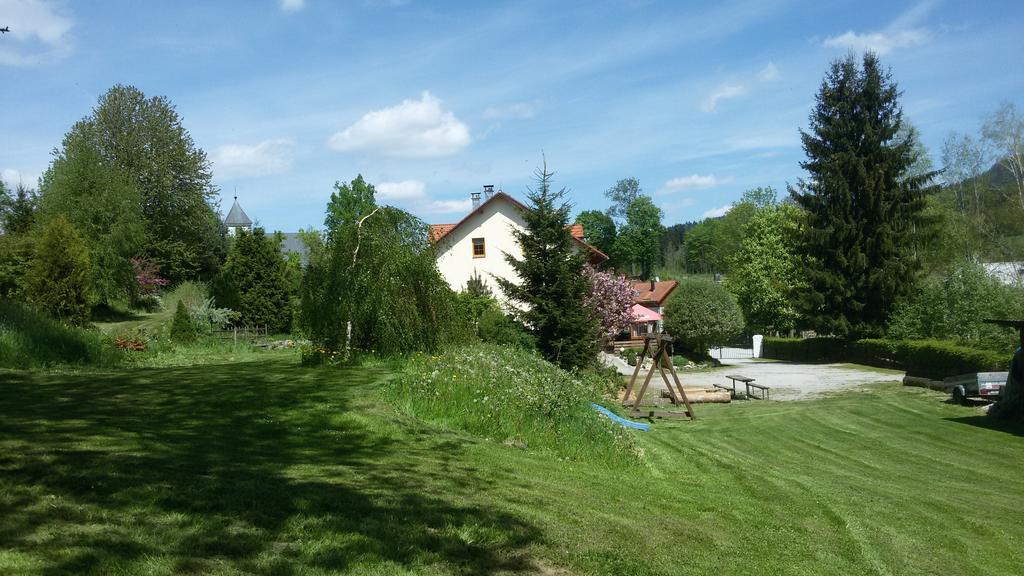 Pension Siesta Želnava Exteriér fotografie