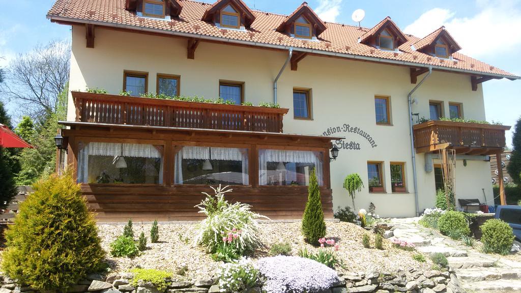 Pension Siesta Želnava Exteriér fotografie